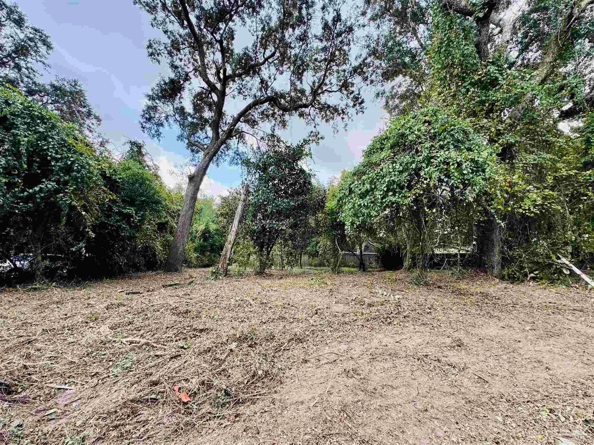 Photo of Listing #672561