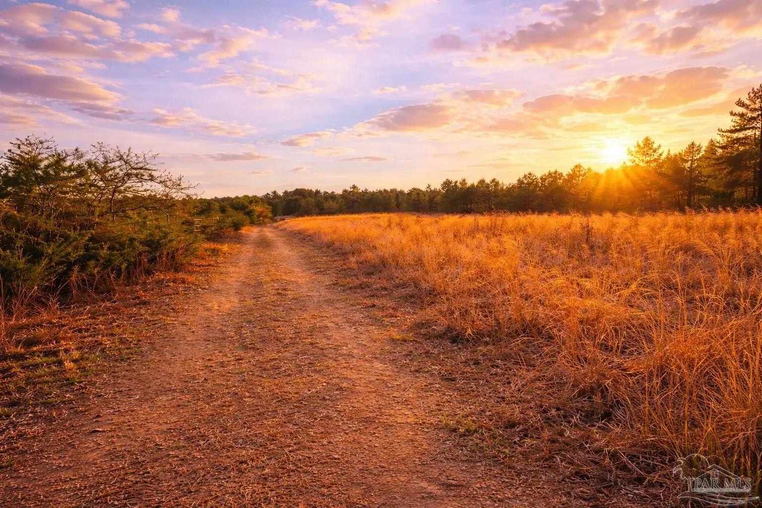 Photo of Listing #677535