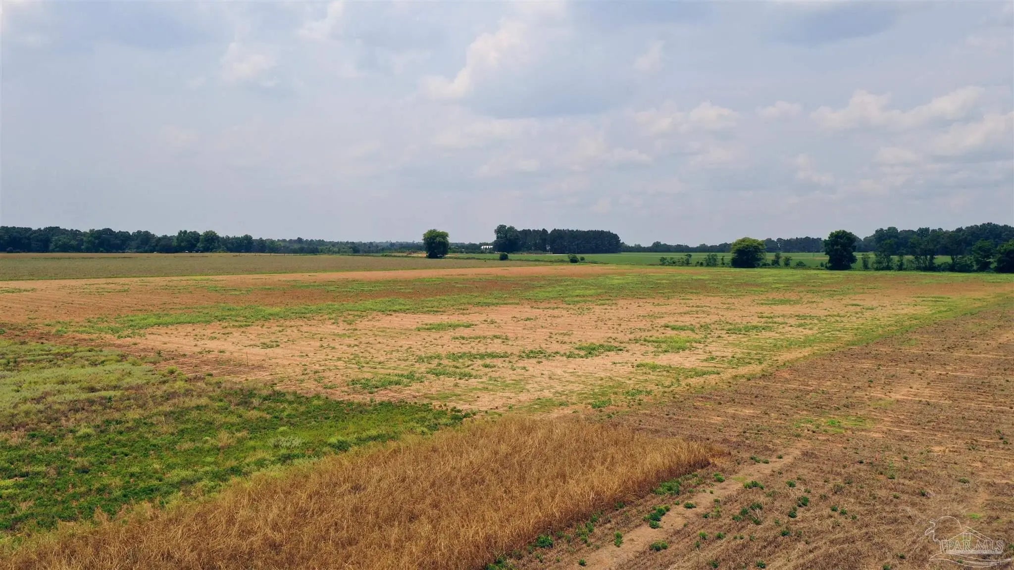 Photo of Listing #627829