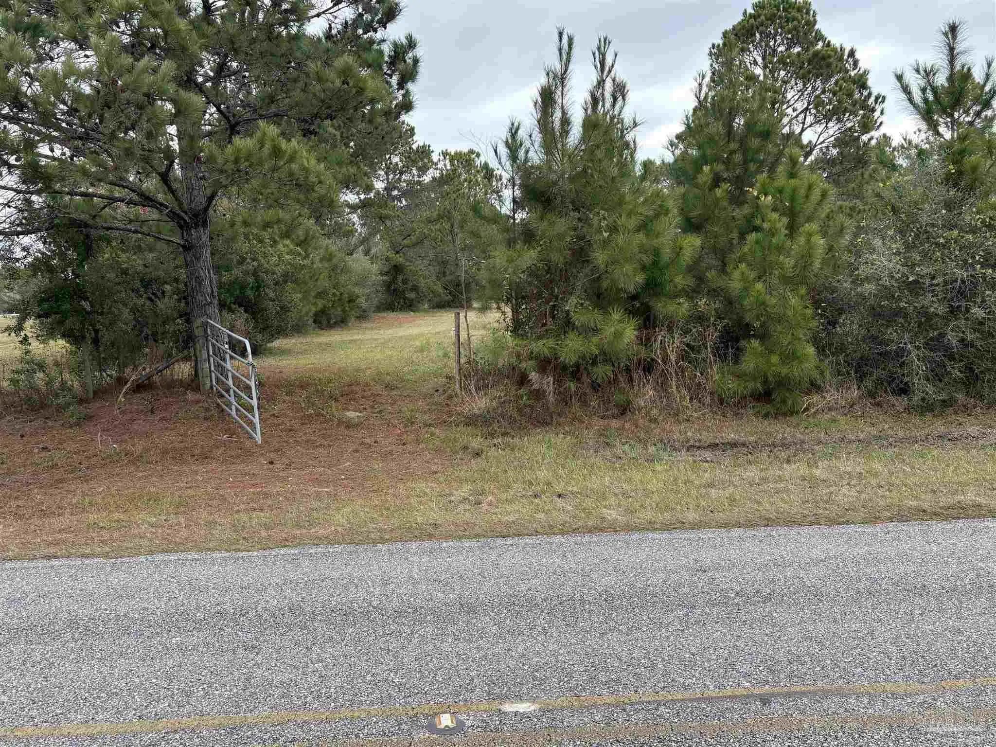 Photo of Listing #688932