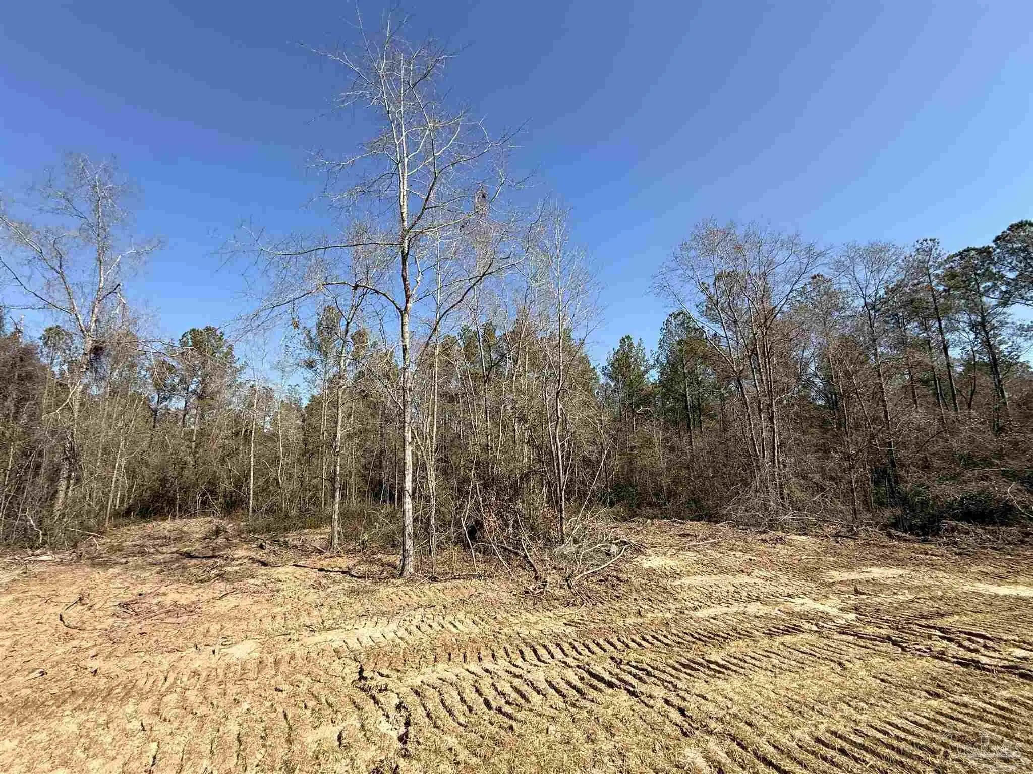 Photo of Listing #677659