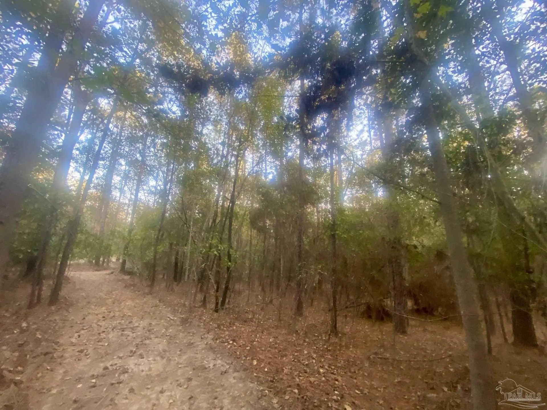 Photo of Listing #673033