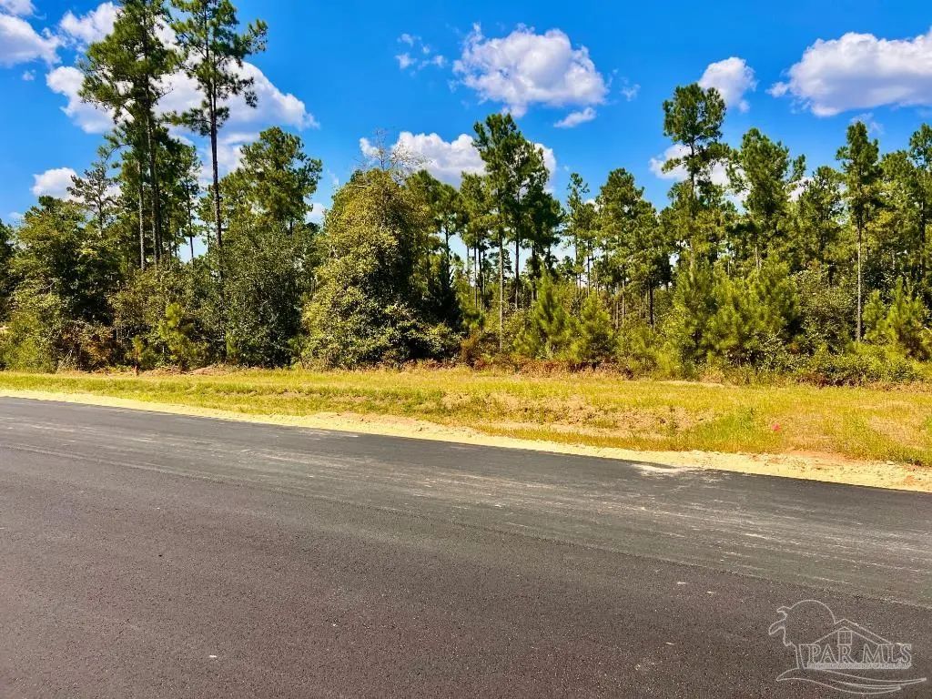 Lot 2 Morgans Branch, Molino