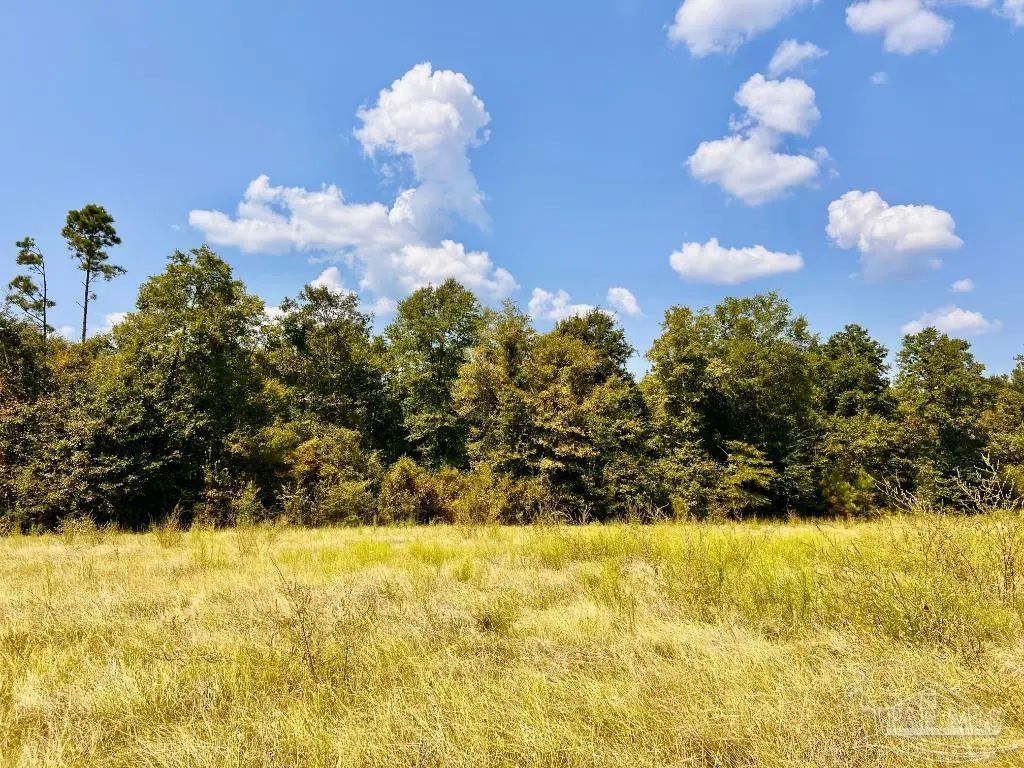 Lot 27 Morgans Branch, Molino