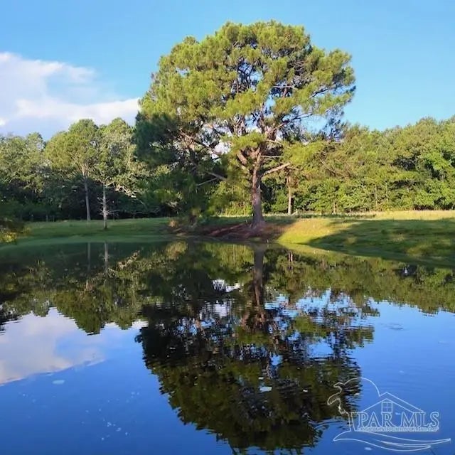 Photo of Listing #665944