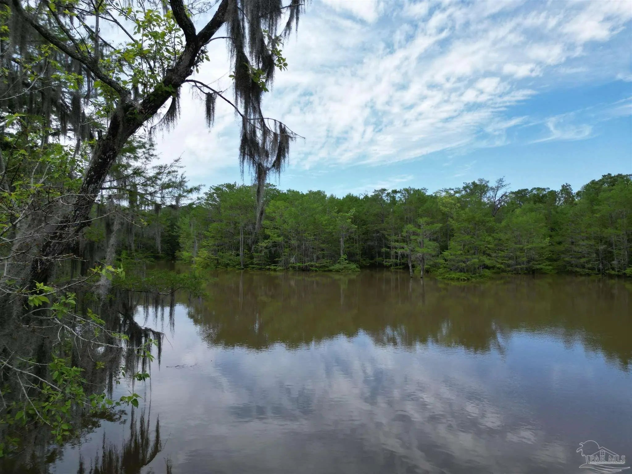 Photo of Listing #668224