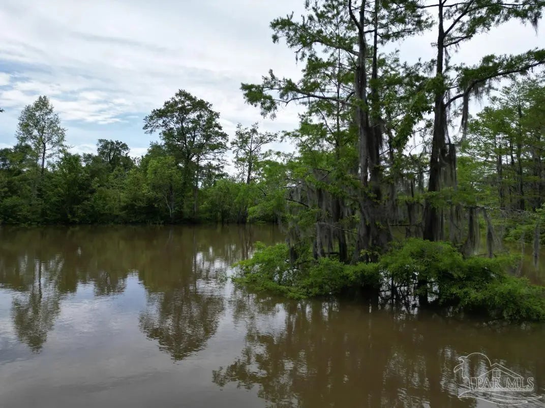 Photo of Listing #668224