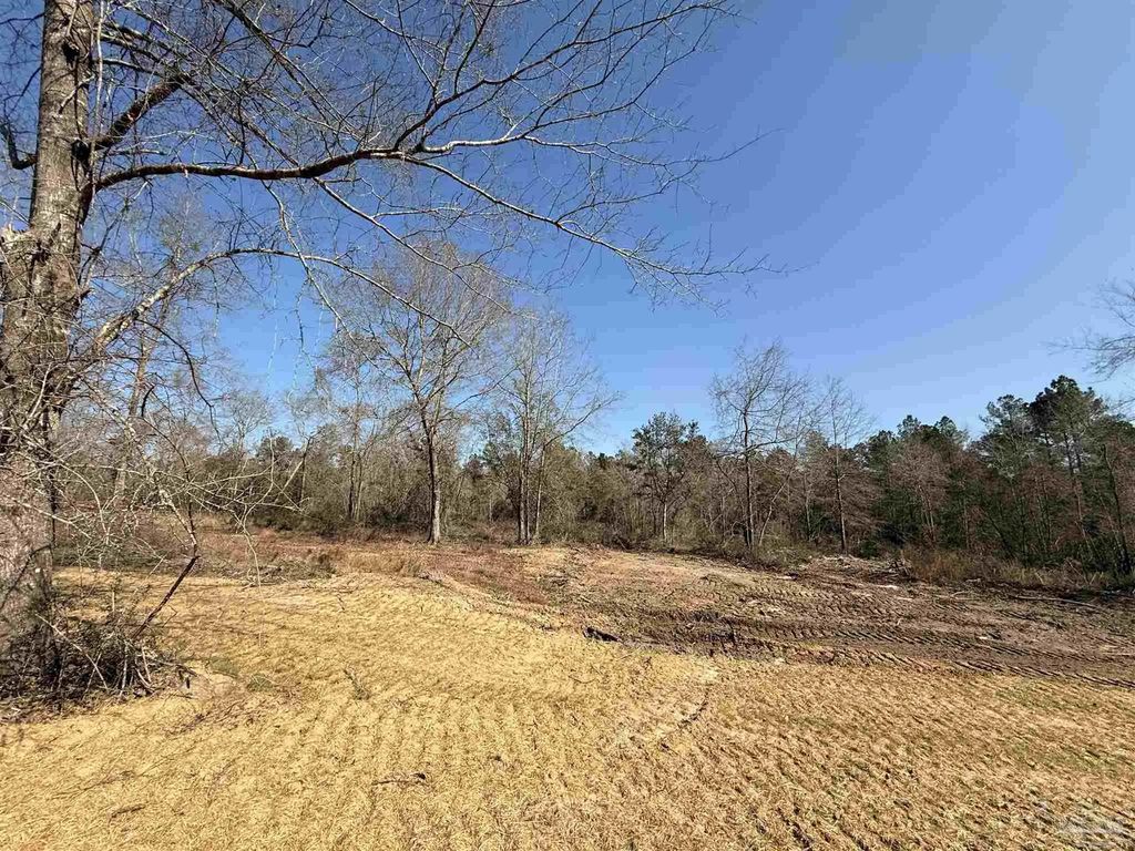 Lot 11 Brook Crossing St, Pace