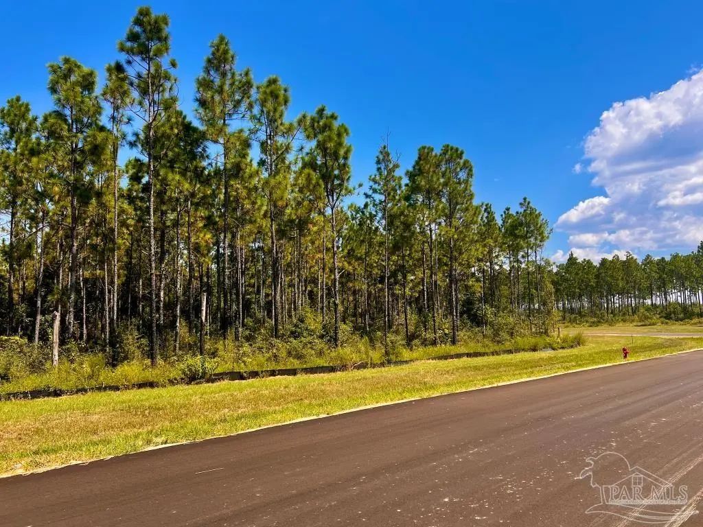 Lot 11 Morgans Branch, Molino