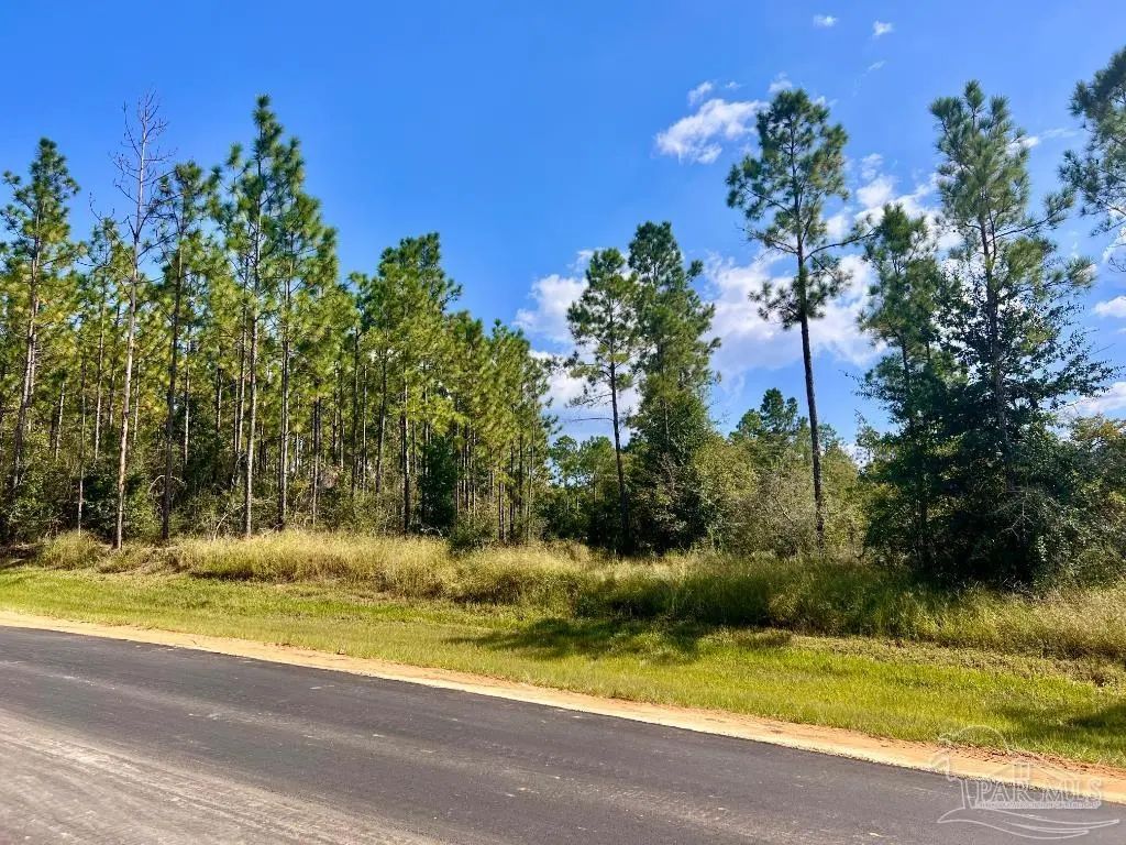 Lot 30 Morgans Branch, Molino