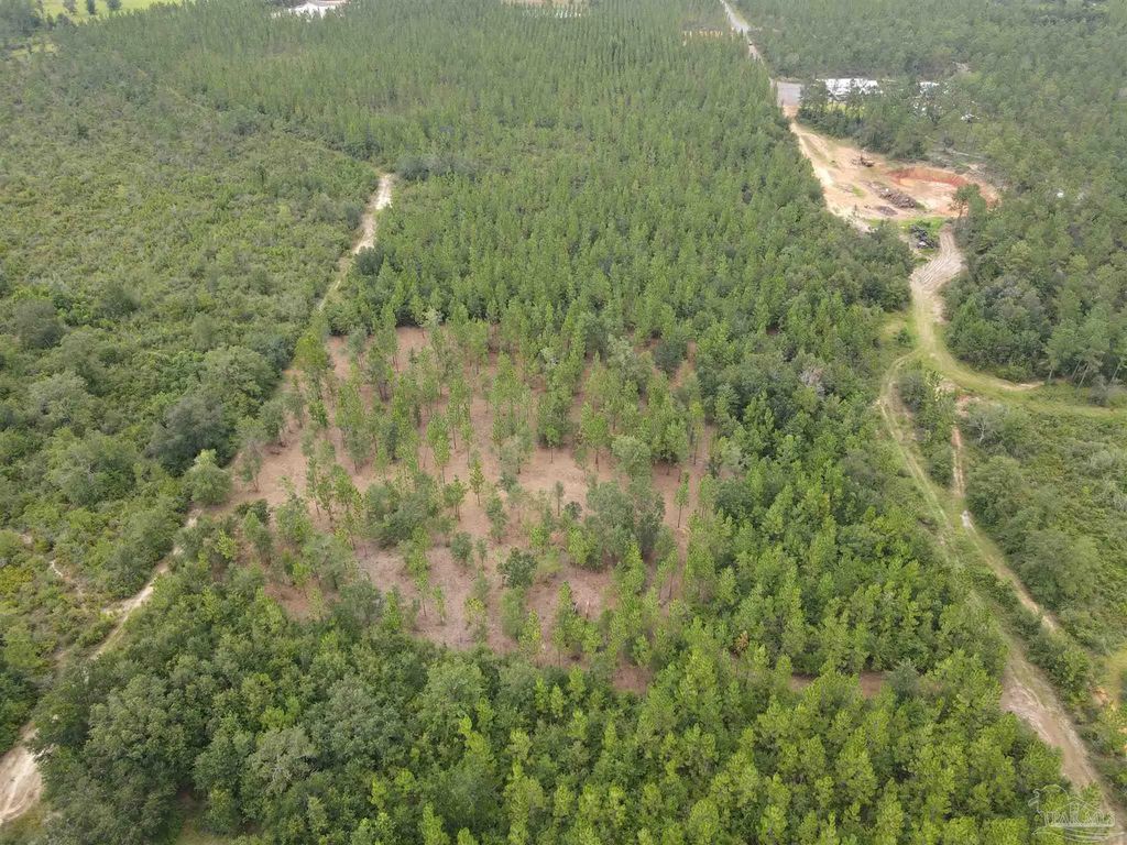 3404 Yellow Hammer Rd, Pace