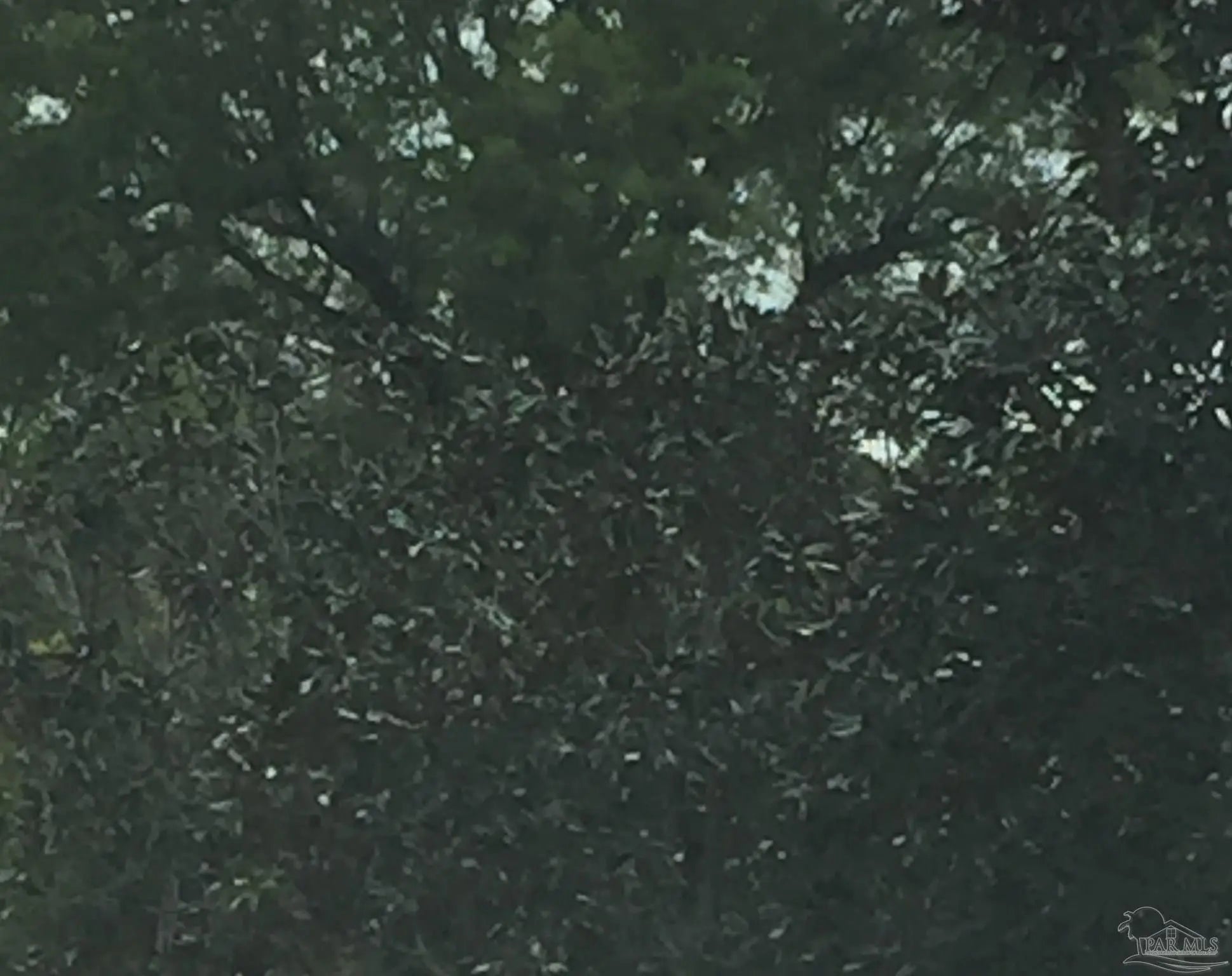 Photo of Listing #664266