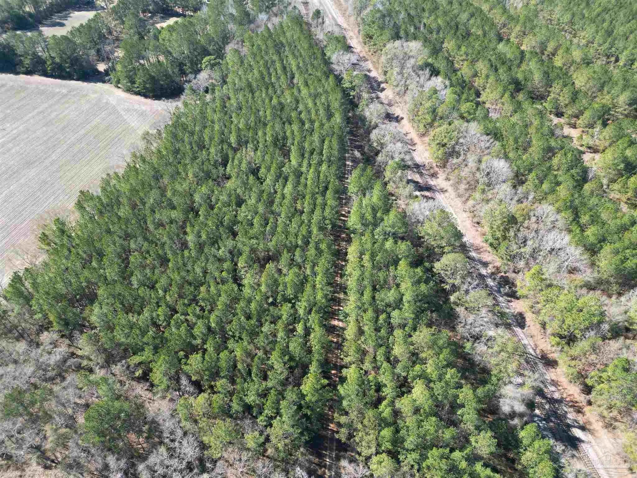 Photo of Listing #677025