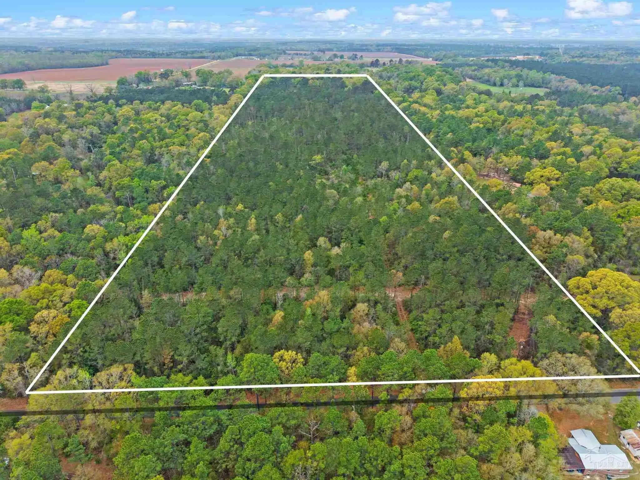 Photo of Listing #679980