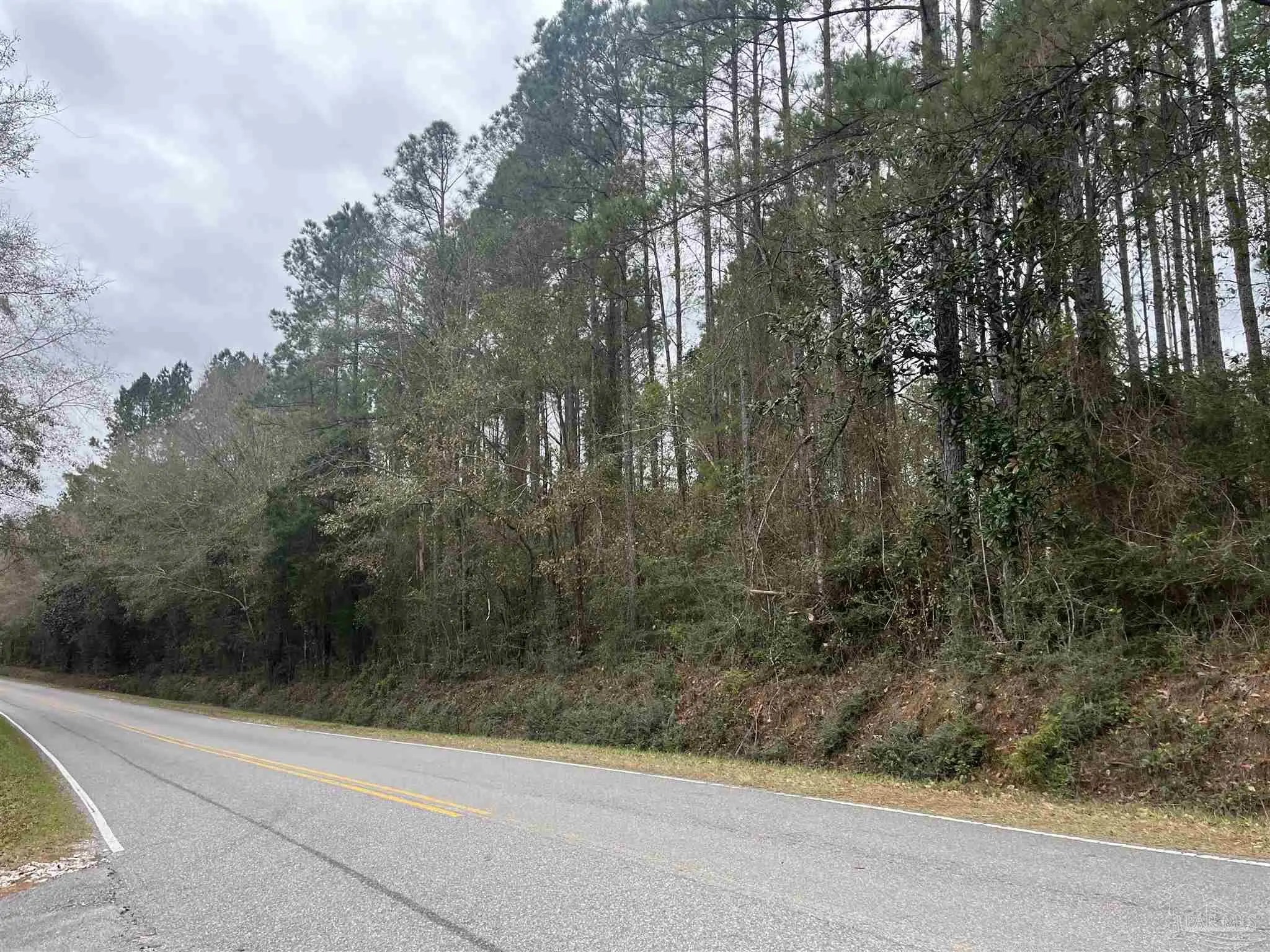 Photo of Listing #676079