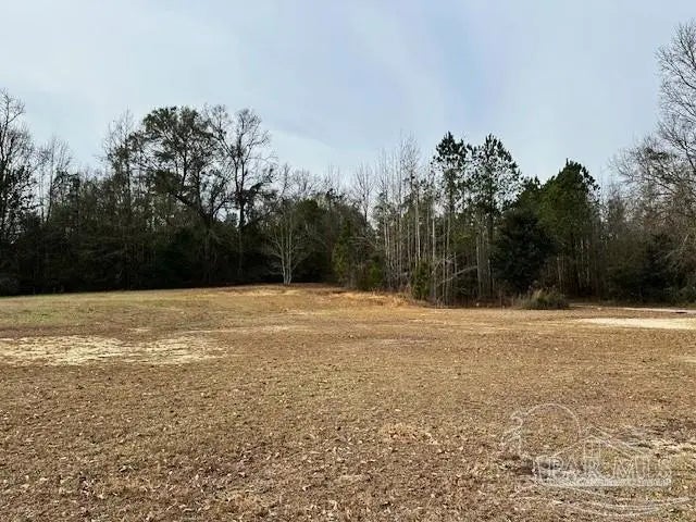 Photo of Listing #676550