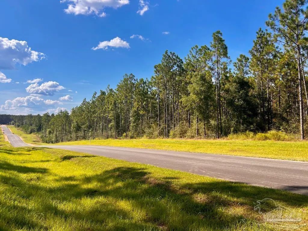Lot 5 Morgans Branch, Molino