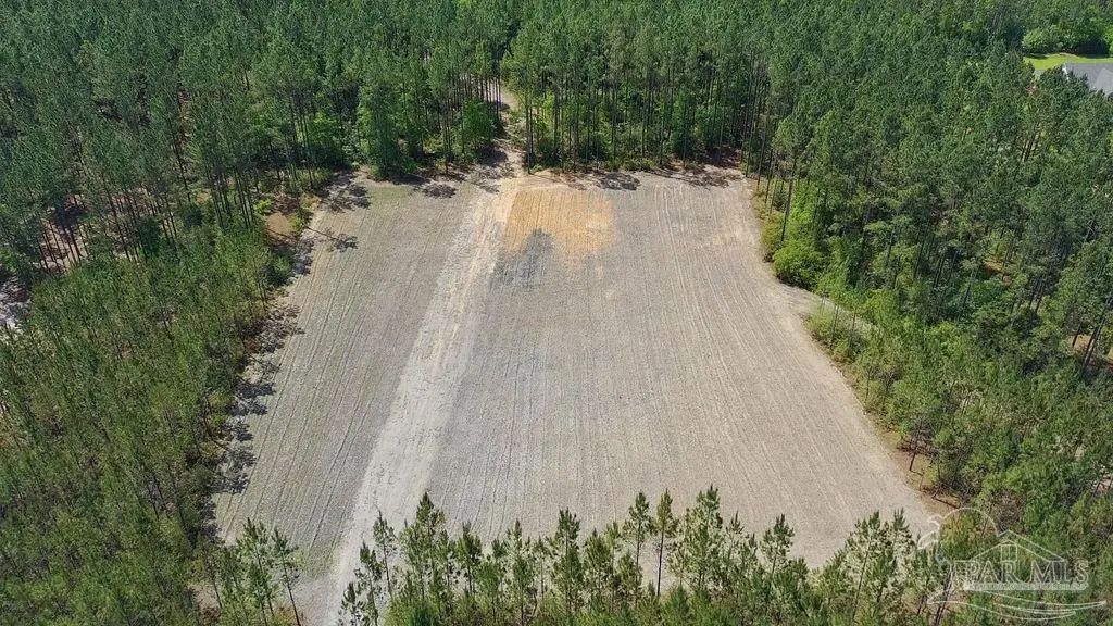 11.42 Acres Edge Forest Way, Pace
