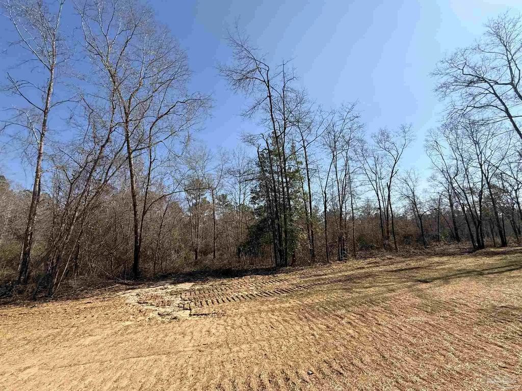 Lot 13 Brook Crossing St, Pace