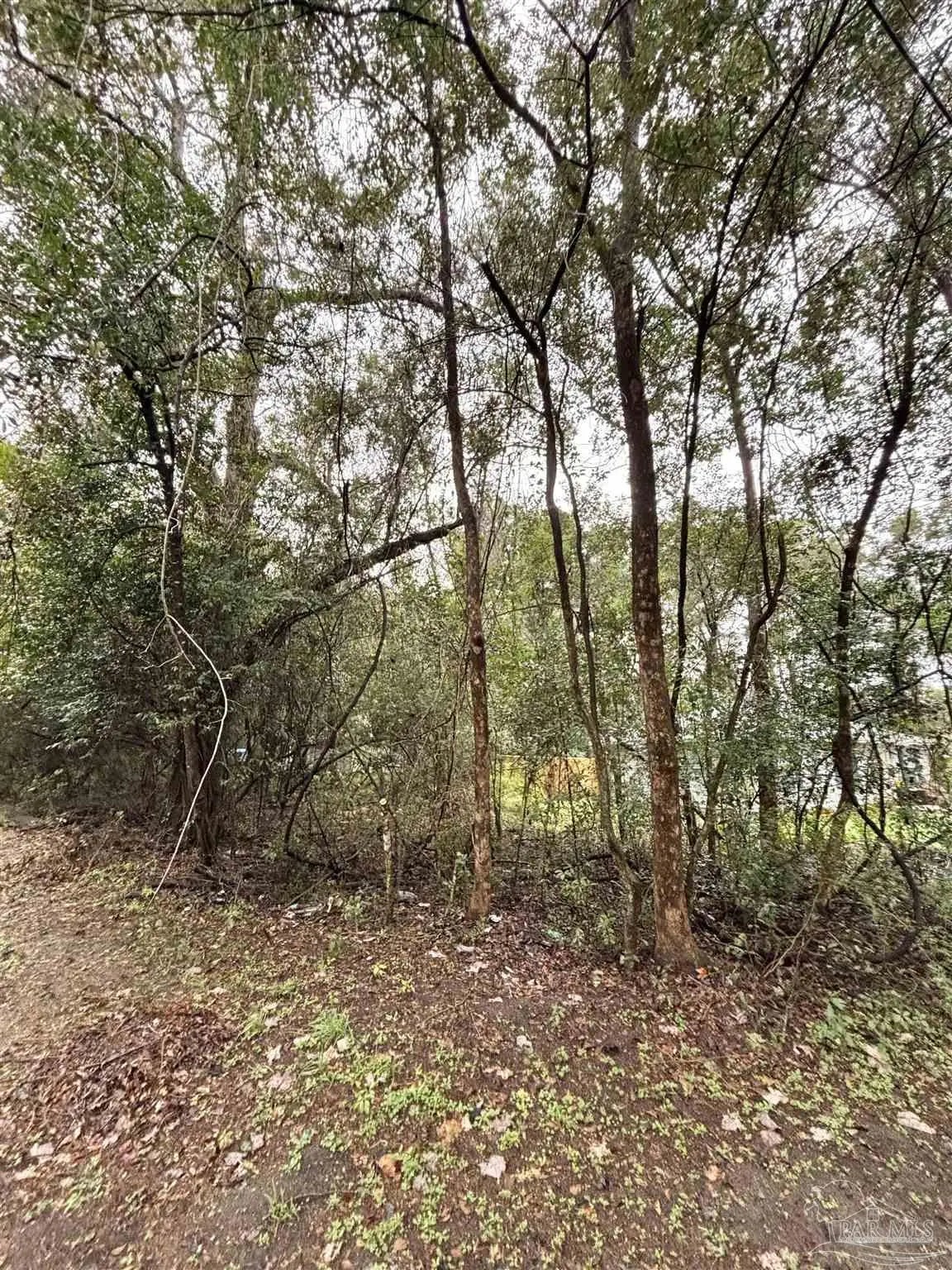 Photo of Listing #674552