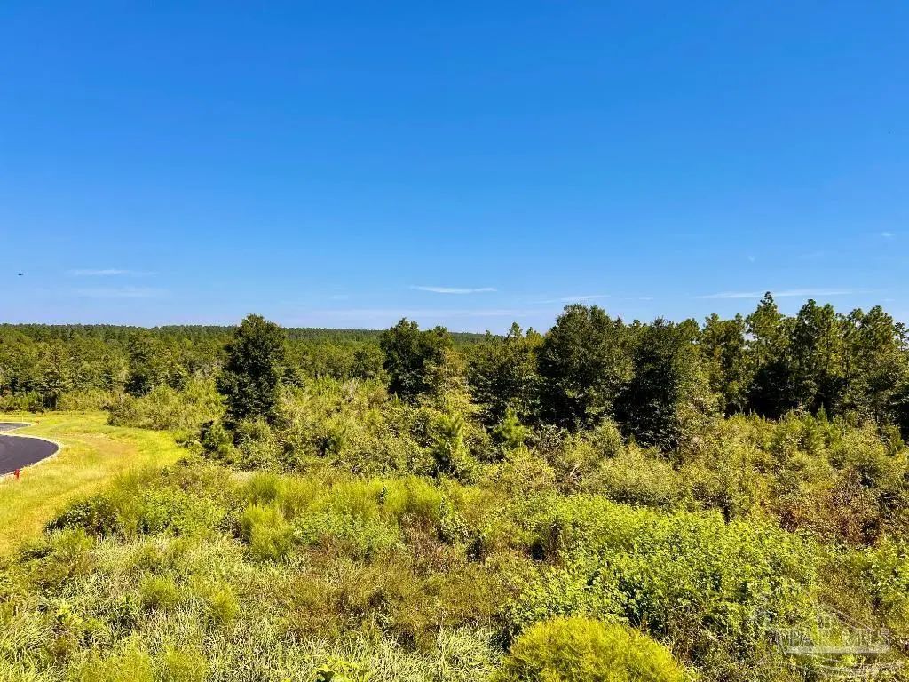 Lot 10 Sounder Dr, Molino