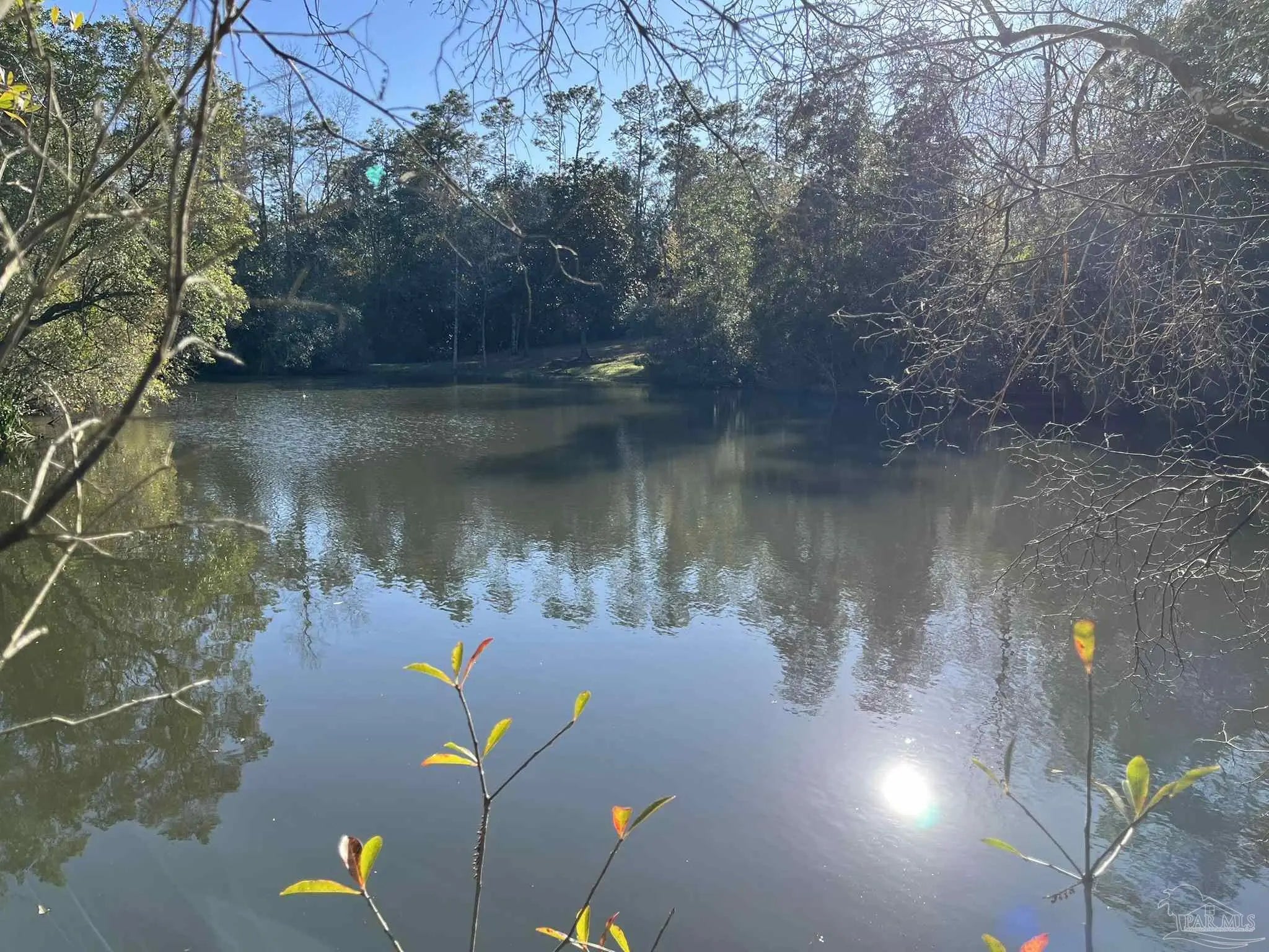 Photo of Listing #658134