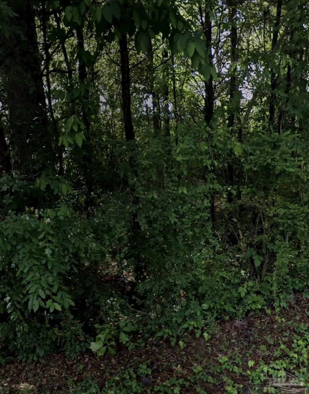 645 Pineview Rd, Trussville