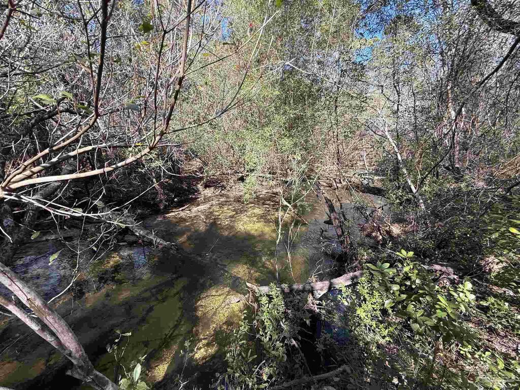 Lot 17 Brook Crossing St, Pace