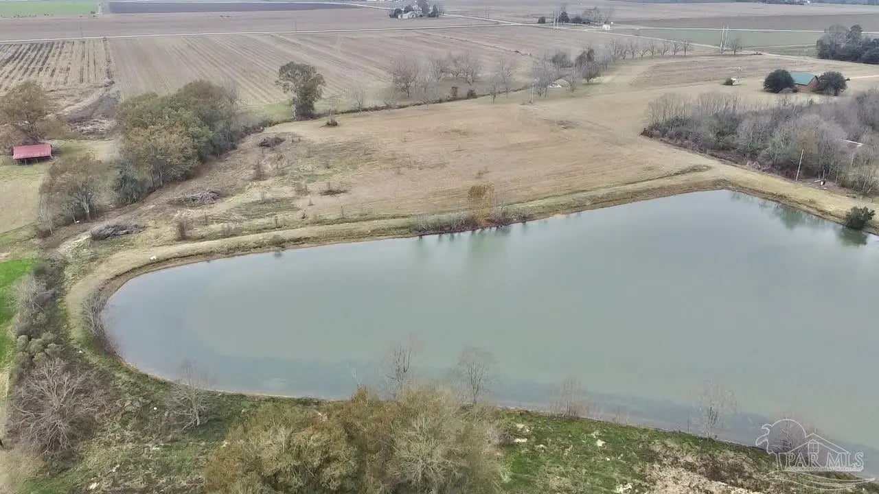 Photo of Listing #678154