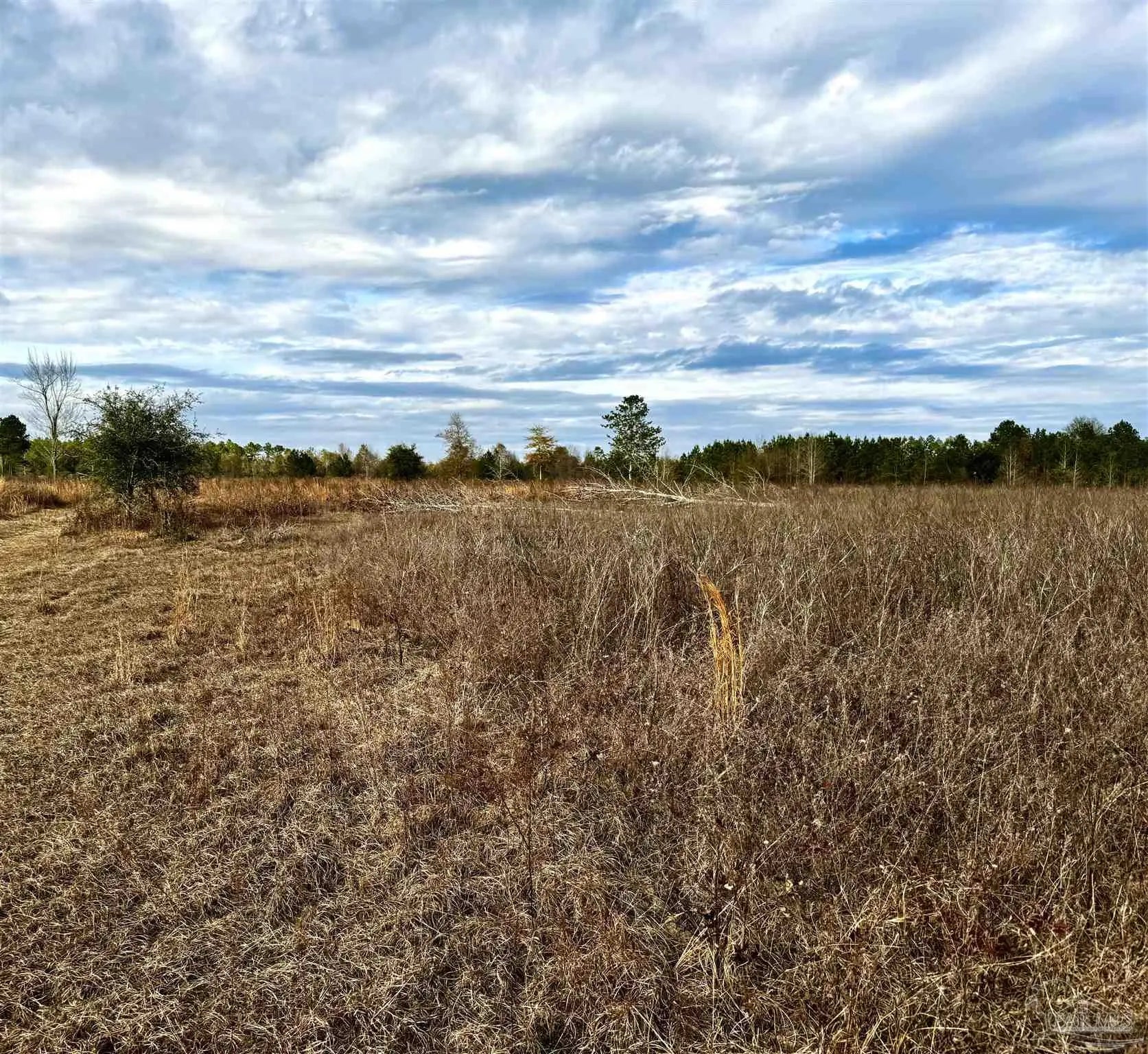 Photo of Listing #677784