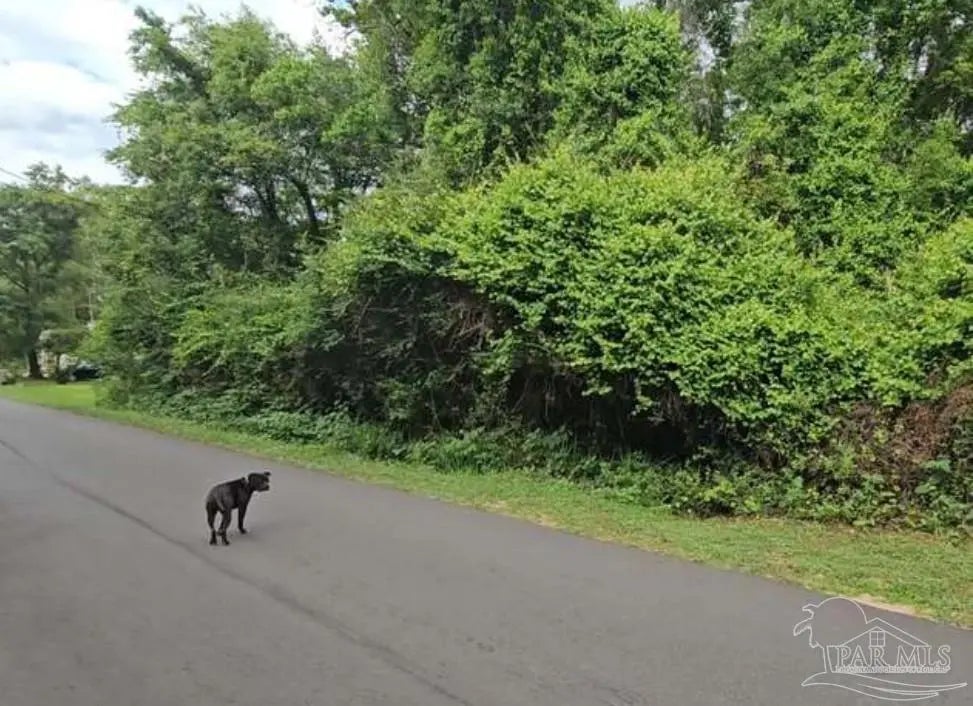 Photo of Listing #669072