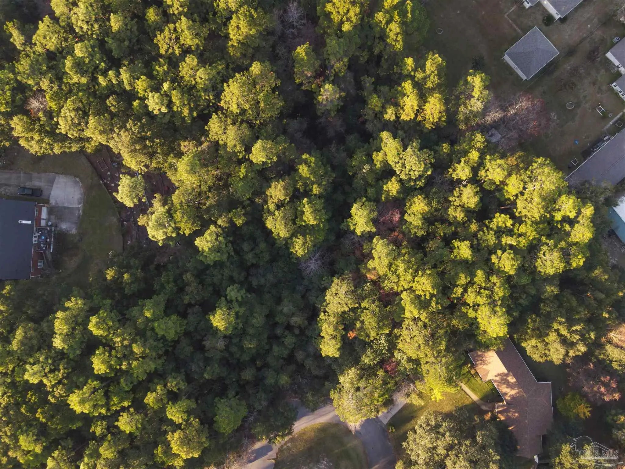 Photo of Listing #674204