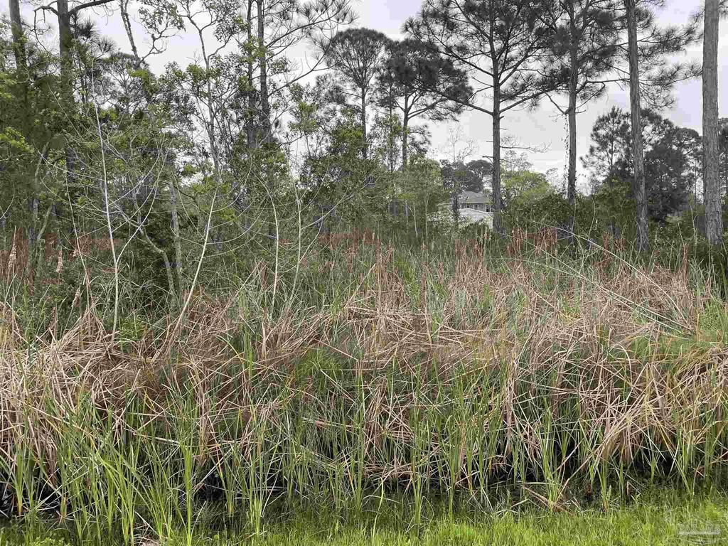 5500 Blk Bob-o-link Rd, Pensacola