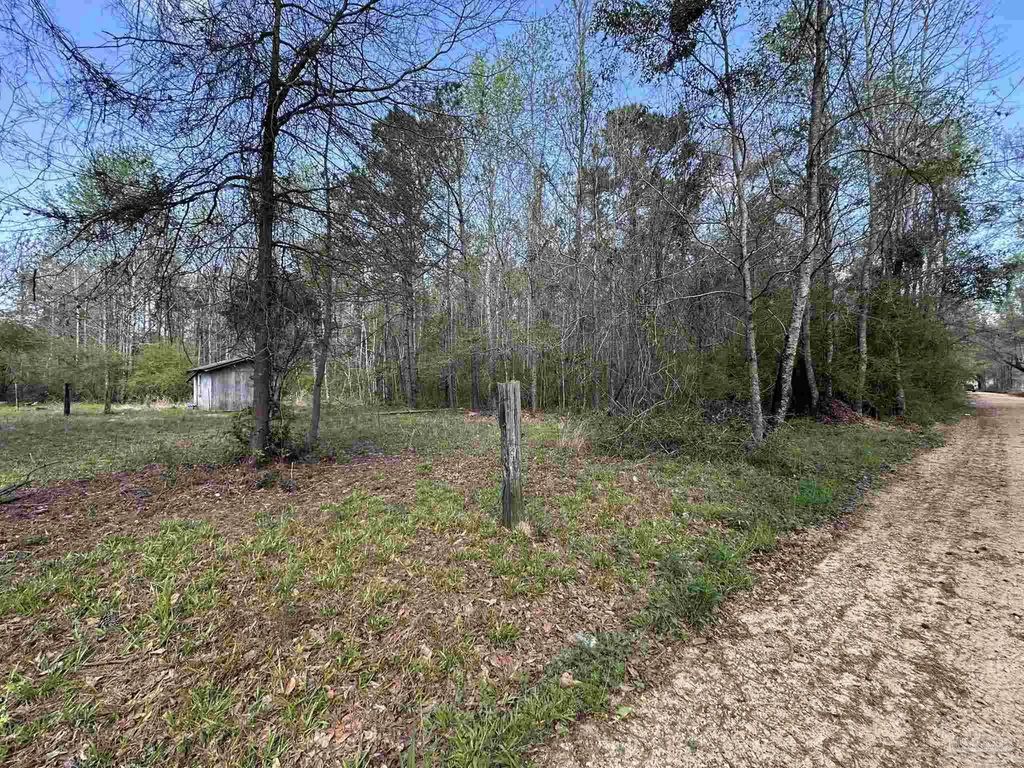 .83+/- Ac Lett Rd, Frisco City