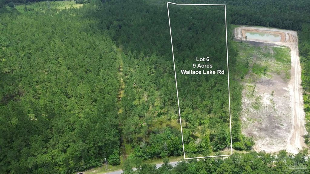 Lot 6 Wallace Lake Rd, Pace