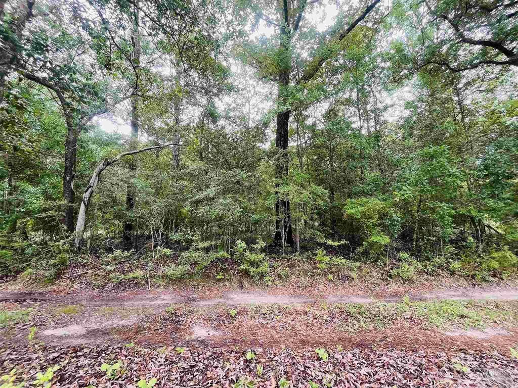 1234 Hutto Parker Rd, Milton