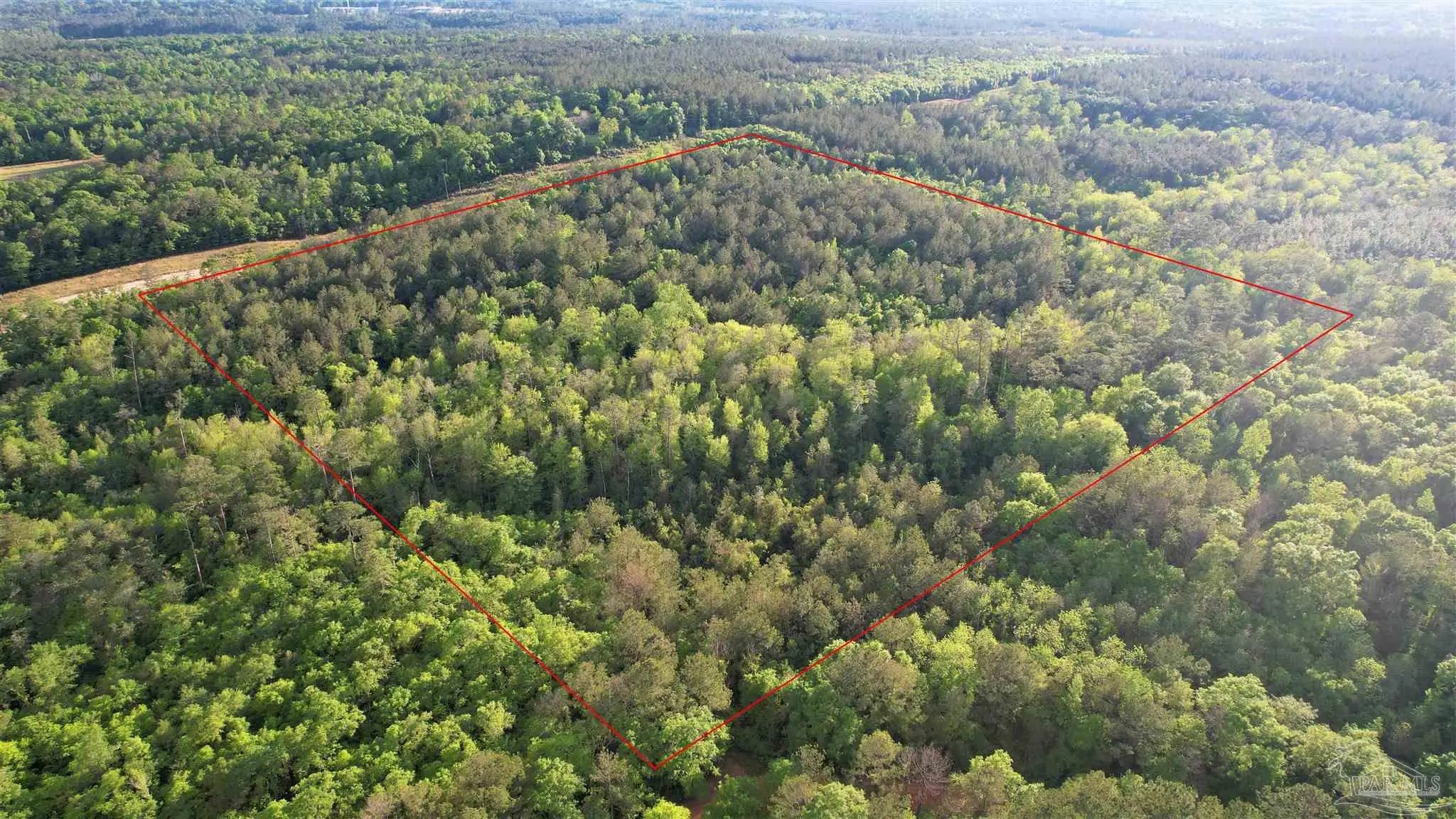 Photo of Listing #625749