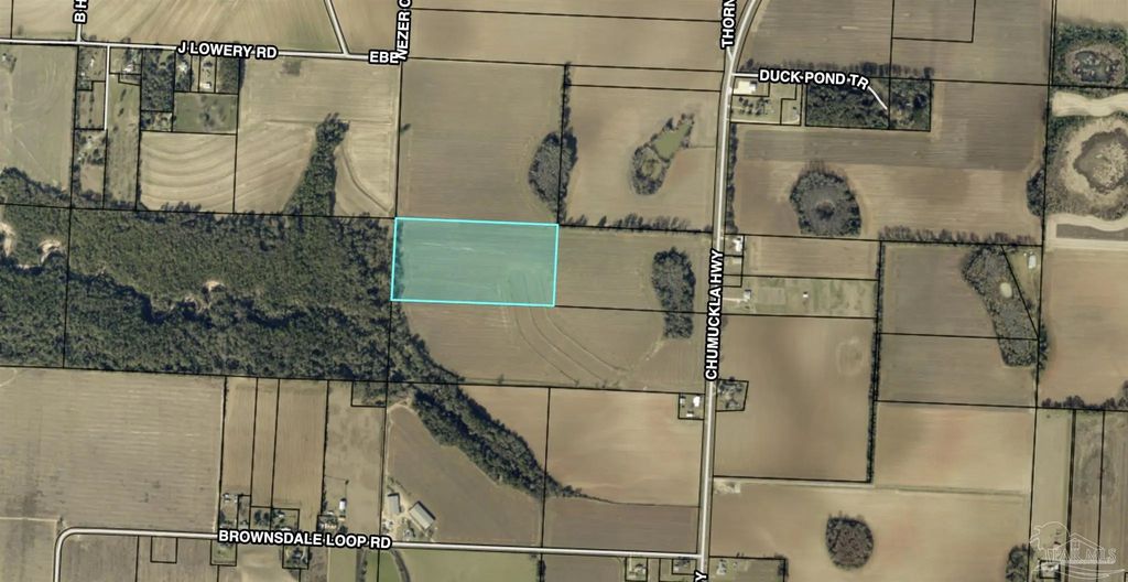 20 Acres Chumuckla Hwy, Jay