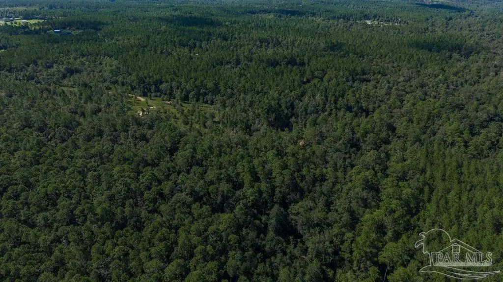18.69 Acres Native Creek Rd, Pace