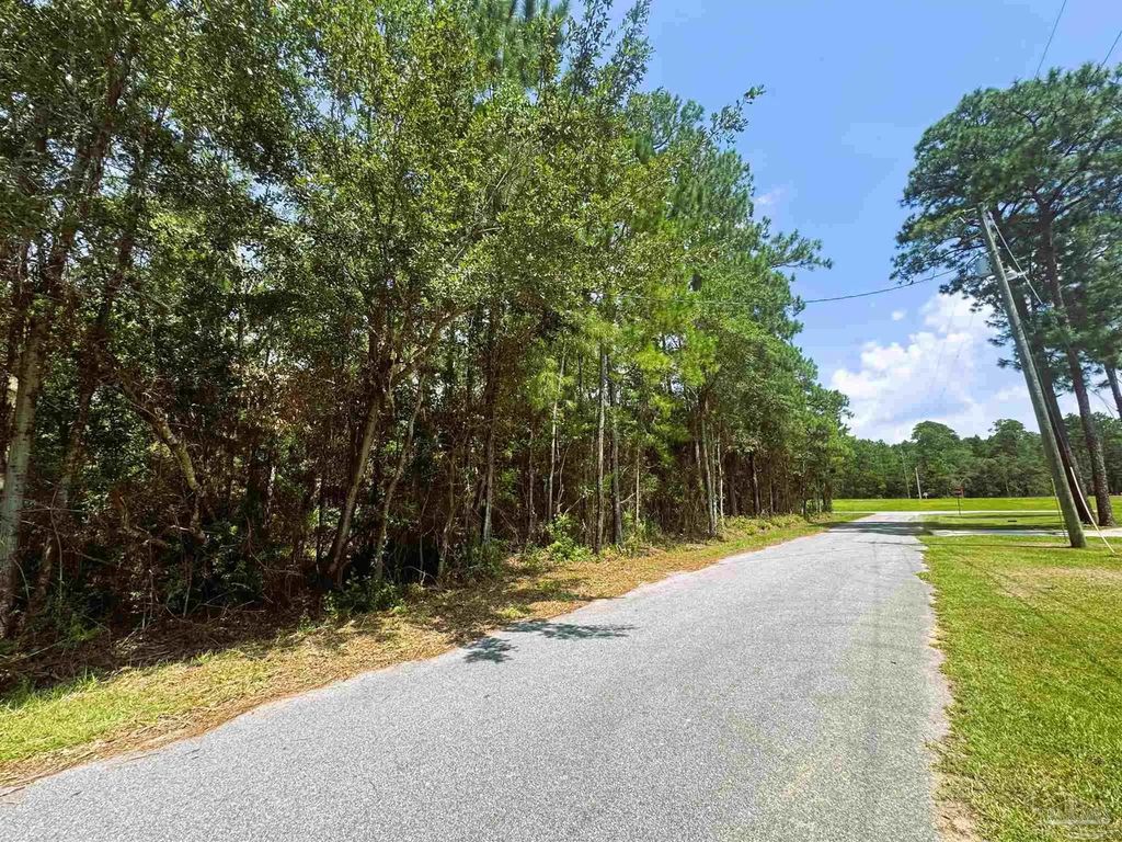 Trout Bayou Cir, Milton