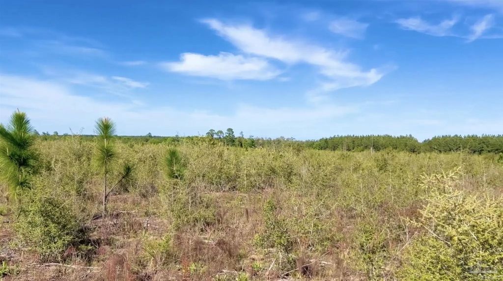 Lot 58 South Timber Ln, Jay