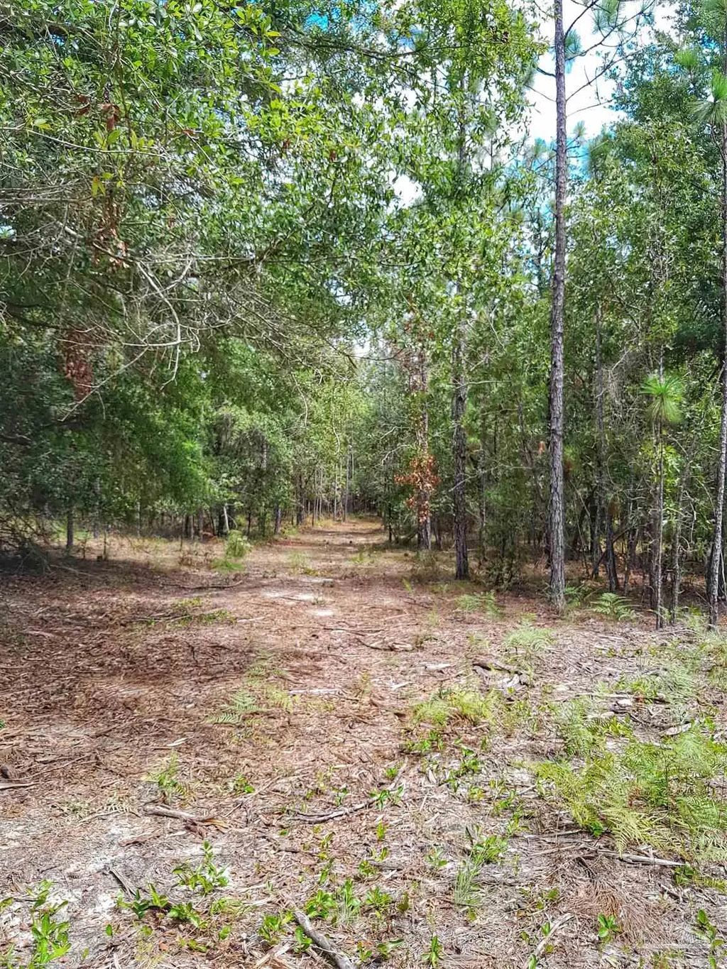 Parcel B-2 Wildlife Rd, Harold