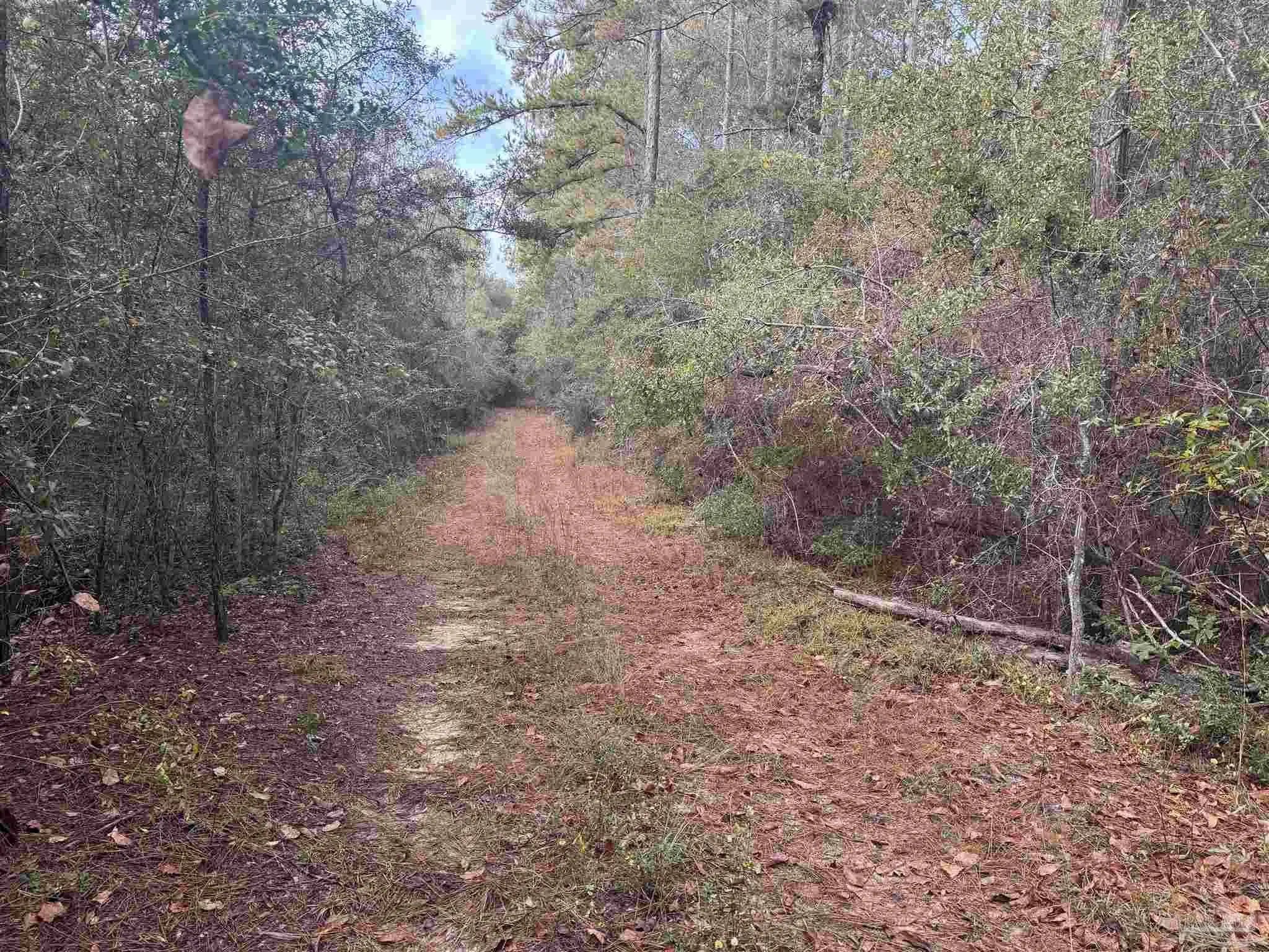 Photo of Listing #674227