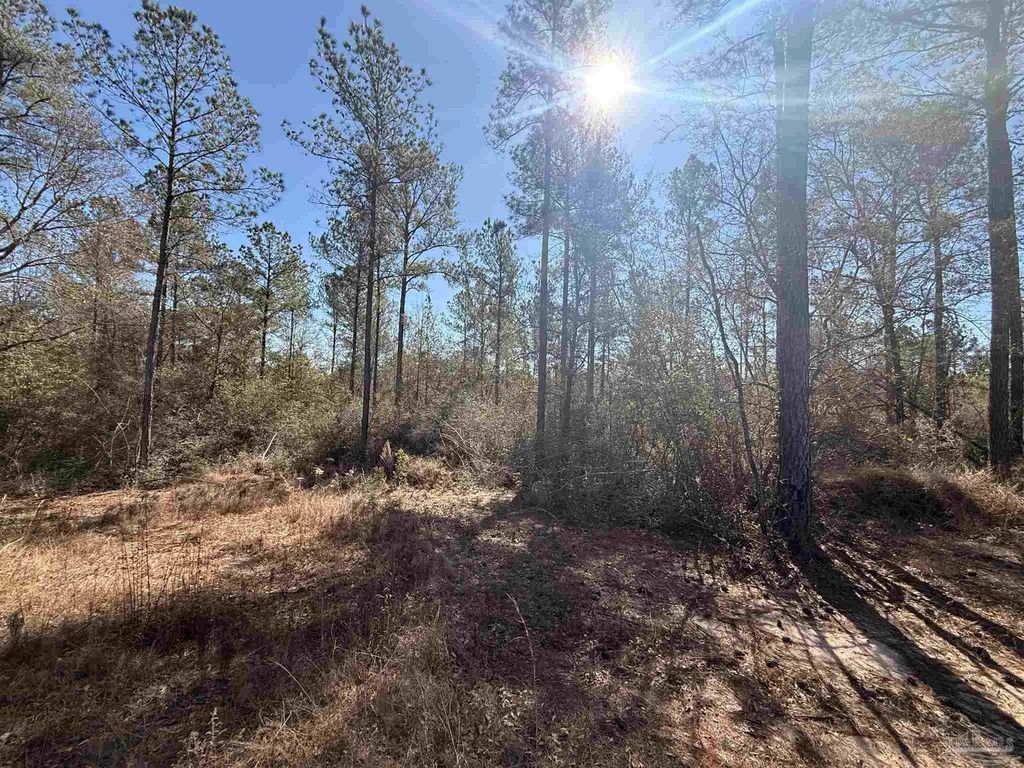 Lot 3 Creek Bluff Dr, Pace