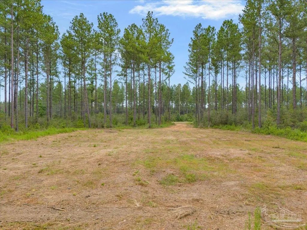 1403 Mineral Springs Rd, Jay