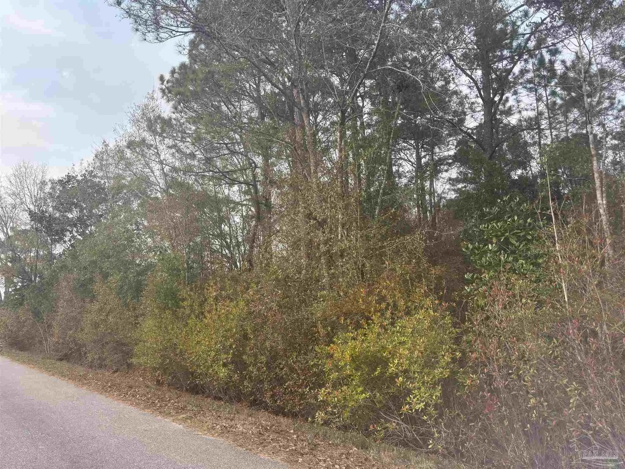 Photo of Listing #675936