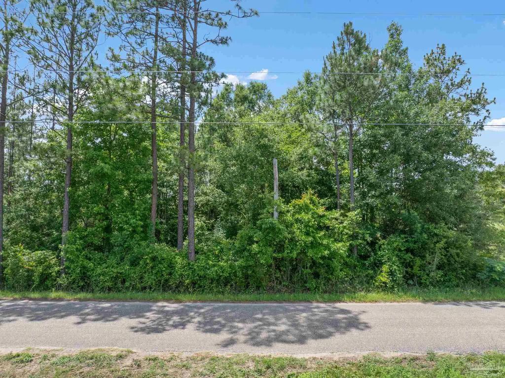 Lot 53 Mineral Springs Rd, Jay