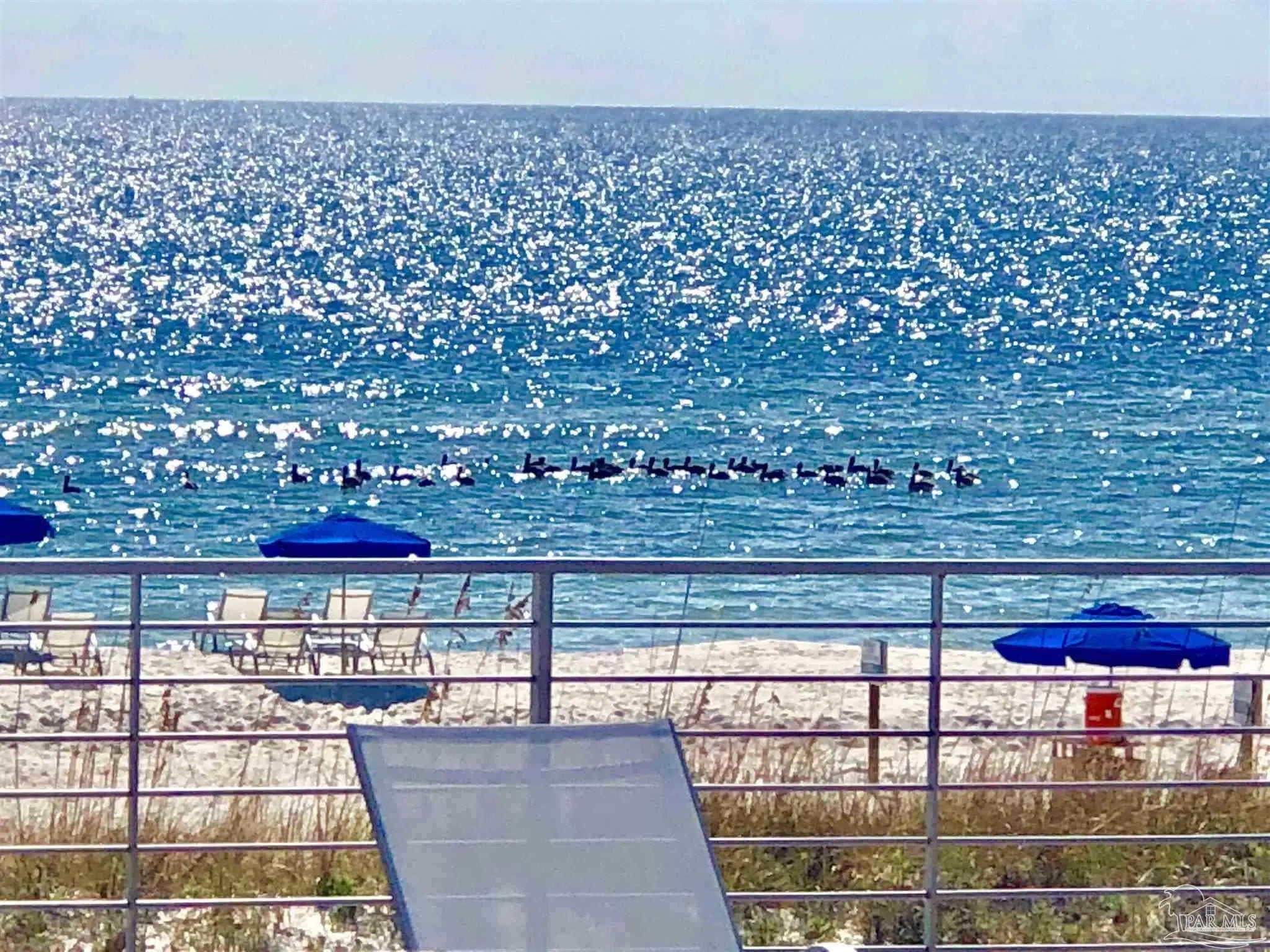 Photo of Listing #673775