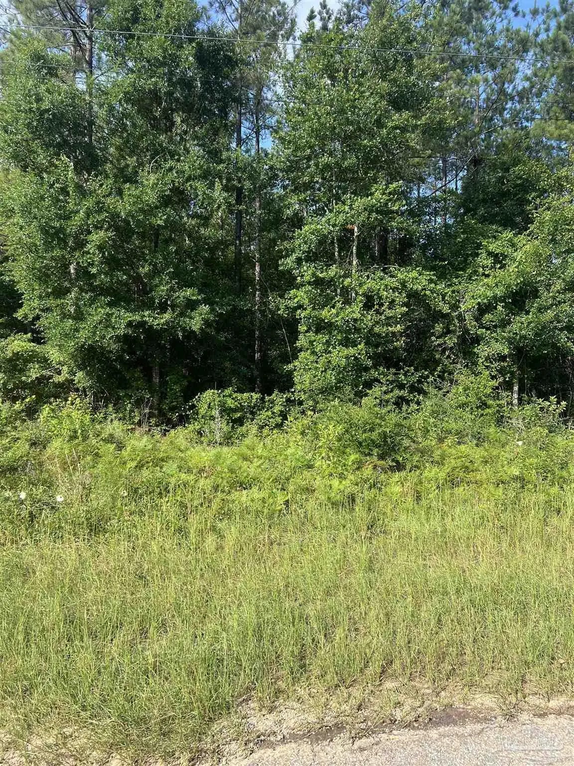 Photo of Listing #666107