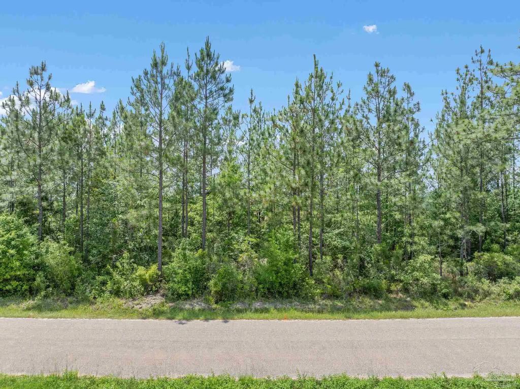 Lot 52 Mineral Springs Rd, Jay